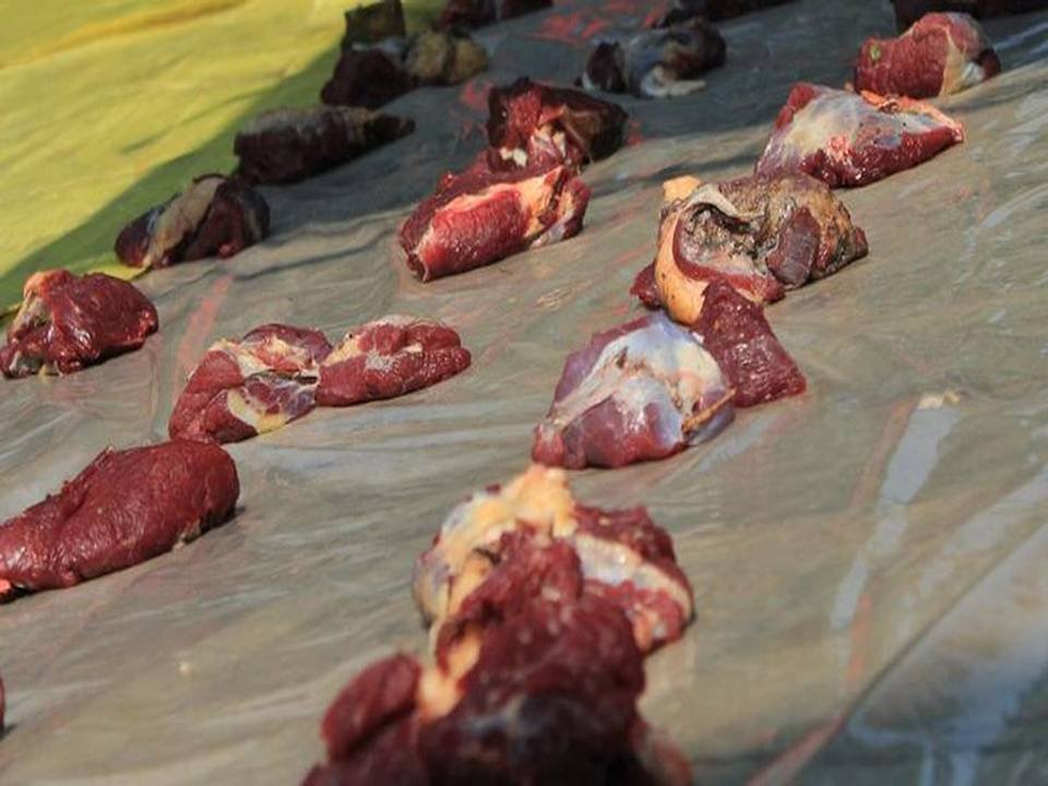 Non Muslim Berqurban