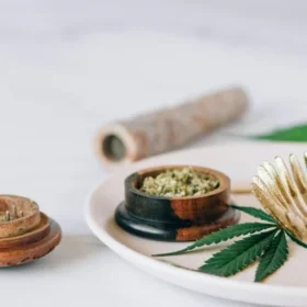 Ketahui Tanaman Herbal yang Bisa Dipakai untuk Luka dan Obat Alami