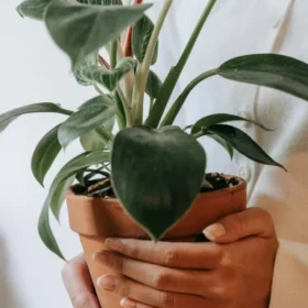 Menjemput Ketenangan: Seni Menumbuhkan Kesadaran dalam Jiwa