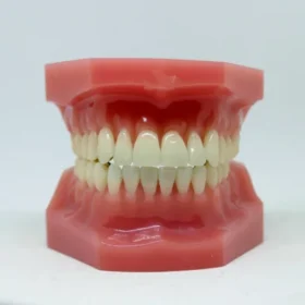 Gusi Berdarah Saat Puasa, Apakah Batal? Simak Penjelasan Lengkapnya!